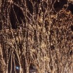 光のページェント