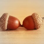 悪者探しよりすれ違い探し