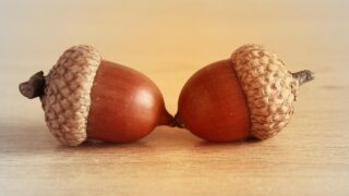 悪者探しよりすれ違い探し