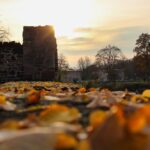 心のケアは日常に