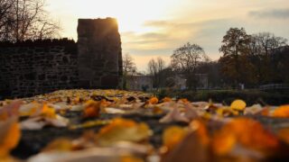 心のケアは日常に