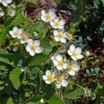 分かり合いたいその先に