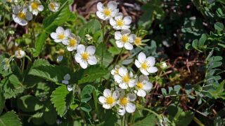 分かり合いたいその先に