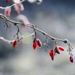 何もない日があっていい