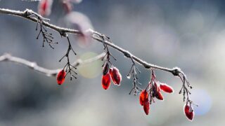 何もない日があっていい