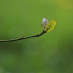 変わったねは進歩のサイン