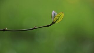 変わったねは進歩のサイン