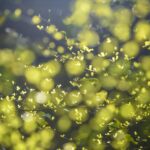 気持ちで変わる思い出