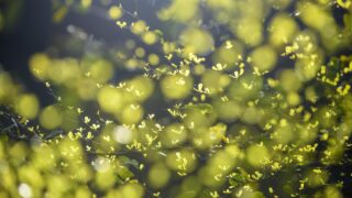 気持ちで変わる思い出