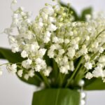 いつもと違う再会