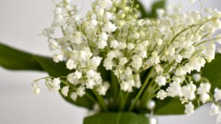 いつもと違う再会