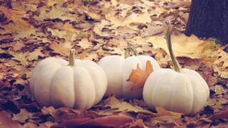 ここから明るくなる