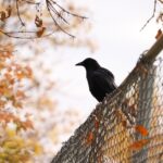 苦手と付き合う