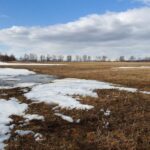 春が見え始める日