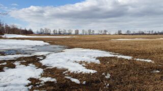 春が見え始める日