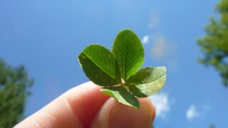 運との向き合い方