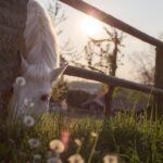 一番輝いているのはあなた