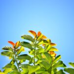 不安はあなたの味方