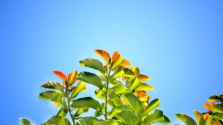 不安はあなたの味方