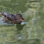 やる気ブレーキを知っていますか