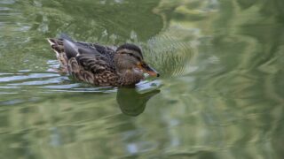 やる気ブレーキを知っていますか
