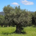 家族と関わるときは