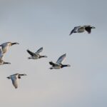 ちょうどいい距離感を探しながら