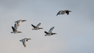 ちょうどいい距離感を探しながら