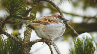 ゆっくりスタート