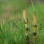 向かい合うより並んでみる