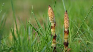 向かい合うより並んでみる