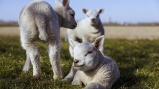 友人との関わり方