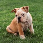 重りを付けたのは自分でした