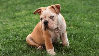 重りを付けたのは自分でした