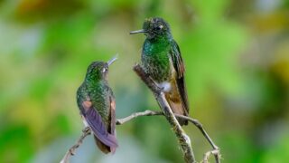 関わりたいと伝えたら