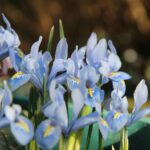 私があなたを決めないために