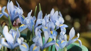 私があなたを決めないために