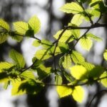 眺めたらちょっと静かに