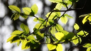 眺めたらちょっと静かに