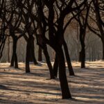 ちゃんと生きてます