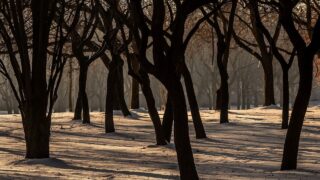 ちゃんと生きてます