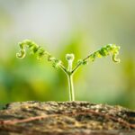 変化してより大きく