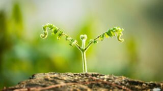 変化してより大きく