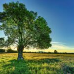 小鬼と過ごす節分