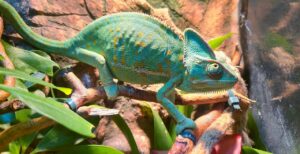 変わる私　変わらない私