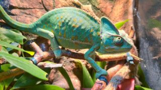 変わる私　変わらない私