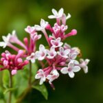 ちょっと足りないがちょうどいい