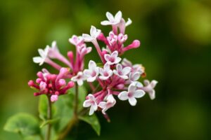 ちょっと足りないがちょうどいい