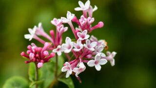 ちょっと足りないがちょうどいい