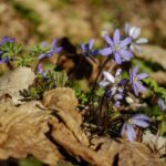 どんなスタイルになりたいですか？